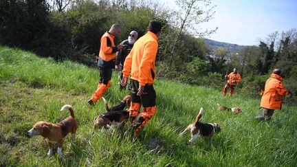 Des chasseurs lors d'une battue, à Périgueux (Dordogne), le 23 avril 2023. (ROMAIN LONGIERAS / HANS LUCAS  / AFP)