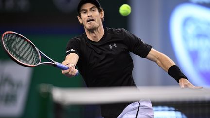 Andy Murray pose sa volée (JOHANNES EISELE / AFP)