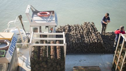 Des ostréiculteurs quai avec leur bateau à la Tremblade (Charente-Maritime), le 8 août 2020. (ARNAUD CHOCHON / HANS LUCAS)