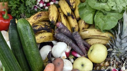 Deux millions de tonnes de fruits et légumes gaspillés chaque annéeà cause de leur laideur. (MIGUEL MEDINA / AFP)