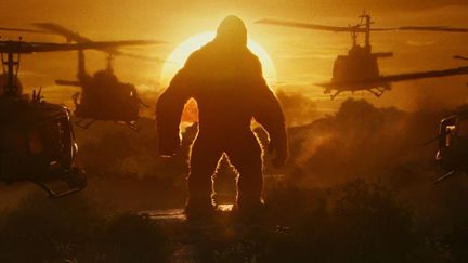 "Kong : Skull Island" de Jordan Vogt-Roberts
 (2017 WARNER BROS. ENTERTAINMENT INC., LEGENDARY PICTURES PRODUCTIONS, LLC AND RATPAC-DUNE ENTERTAINMENT LLC. ALL RIGHTS RESERVED)