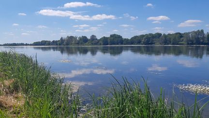 Bords de Loire. (Illustration).&nbsp; (LAGAIN AURELIE / FRANCE-BLEU BREIZH IZEL)