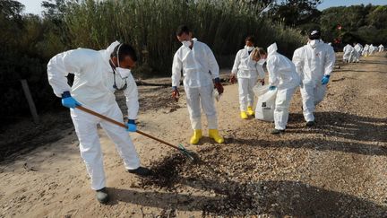 Pollution dans les Bouches-du-Rhône : les calanques souillées