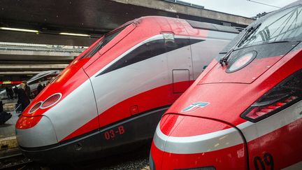 Les trains de la compagnie ferroviaire italienne Trenitalia, notamment le Frecciarossa 1000 (à droite) le 6 ocotobre 2018.&nbsp; (FERNANDO GUTIERREZ-JUAREZ / ZB / MAXPPP)