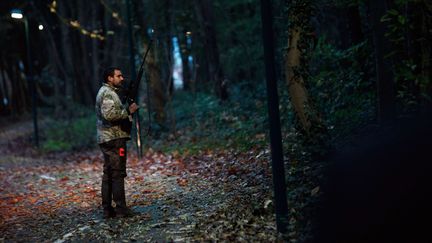 Un policier &agrave; la recherche d'un tigre en libert&eacute; &agrave; proximit&eacute; de Mont&eacute;vrain (Seine-et-Marne), le 13 novembre 2014. (THIBAULT CAMUS / AP / SIPA)