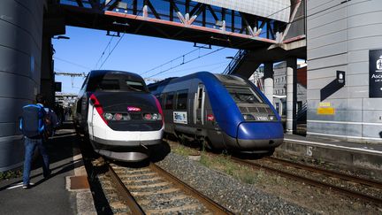 Un TGV et un TER en gare de Poitiers&nbsp;le 22 septembre 2021.&nbsp; (MATHIEU HERDUIN / MAXPPP)