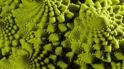 &nbsp; (Le chou romanesco, spécialité des jardiniers italiens © Radio France)