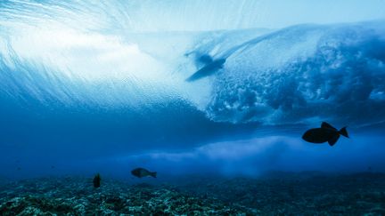 EN IMAGES. JO 2024 : au coeur de la vague tahitienne de Teahupo'o, olympe des dieux du surf