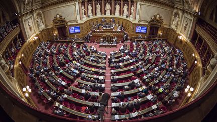 Hémicycle du Sénat au palais du Luxembourg à Paris. (LIONEL BONAVENTURE / AFP)