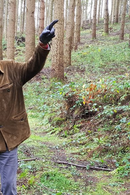 Antoine de Champeaux fait visiter ses parcelles sylvicoles, le 30 novembre 2018, dans la commune de La Petite-Verrière (Saône-et-Loire). (FABIEN MAGNENOU / FRANCEINFO)