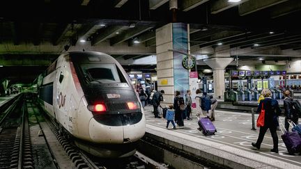 A train guarding Paris Montparnasse on December 23, 2023, during earlier strike action at the SNCF.  (Maxim Gruss/Hans Lucas/AFP)