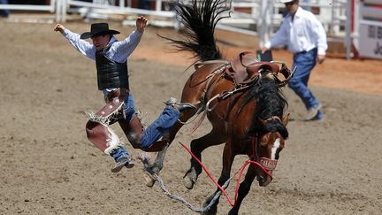 Un cowboy se fait &eacute;jecter de son cheval lors du rod&eacute;o de Calgary (Canada), le 7 juillet 2013. (TODD KOROL / REUTERS)