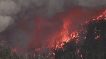 Incendies : la Californie ravagée par un mégafeu