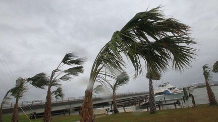 Avec l'arriv&eacute;e de l'ouragan Sandy le 30 octobre 2012,&nbsp;les eaux pourraient monter de plus de 3 m&egrave;tres, selon le&nbsp;Centre am&eacute;ricain de surveillance des ouragans, bas&eacute; &agrave; Miami (Floride, Etats-Unis). (CHUCK BECKLEY / AP / SIPA)