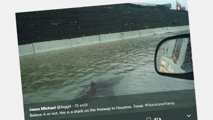 Photo postée sur Twitter censée présenter un requin sur l'autoroute à Houston. Il s'agit d'un montage. (DR)