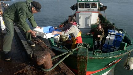 Consommation : du poisson en circuit court