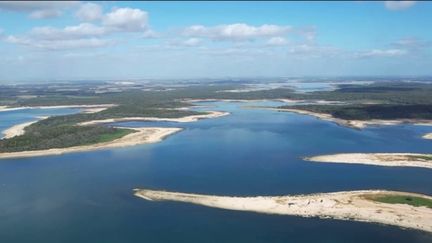 Aube : à la découverte du lac d’Orient et de ses oiseaux (FRANCE 2)