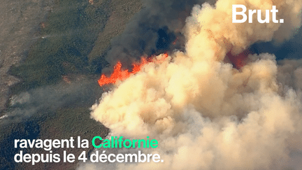 brut : incendie californie