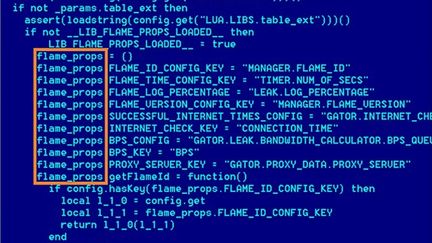 Une capture d'&eacute;cran publi&eacute;e par la soci&eacute;t&eacute; de s&eacute;curit&eacute; informatique russe Kaspersky Lab, qui a d&eacute;couvert en mai 2012 le virus Flame.&nbsp; (AFP / KAPERSKY LAB)