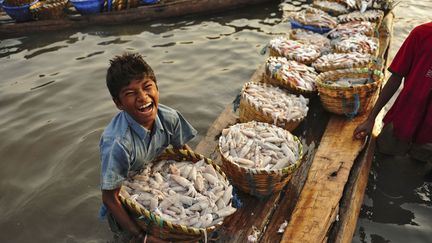 Le fils d'un p&ecirc;cheur de Chennai (Inde) transporte des paniers de poissons, le 4 juin 2012. (BABU  / REUTERS)