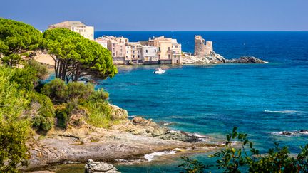 Vue aérienne du port de pêche d'Erbalunga, commune de Brando, Cap Corse en Haute-Corse. (MARIUS ROMAN / MOMENT RF)