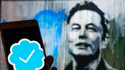 Une illustration montrant Elon Musk, le patron de Twitter, à Bruxelles (Belgique), le 11 décembre 2022. (JONATHAN RAA / NURPHOTO / AFP)