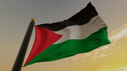 Image d'un drapeau palestinien (MANUEL AUGUSTO MORENO / MOMENT RF)