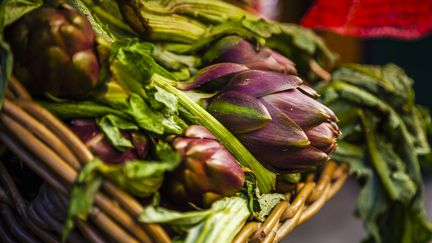 L'artichaut à poivrade se cultive généralement au jardin. Pour un aspect décoratif, vous pourrez le planter en jardinière ou en pot.&nbsp; (FLAVIA MORLACHETTI / MOMENT RF / GETTY  IMAGES)