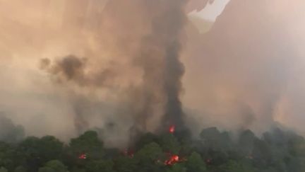 Incendies en Gironde : près de 2 800 hectares brûlés par les flammes