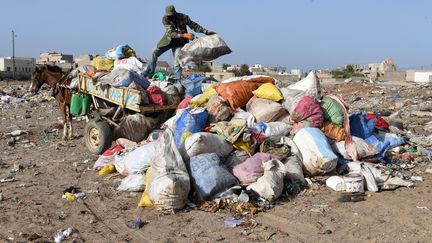 Collecte de sacs à ordures le 31 mai 2019 à Rufisque, près de Dakar. (LIONEL BONAVENTURE / AFP)