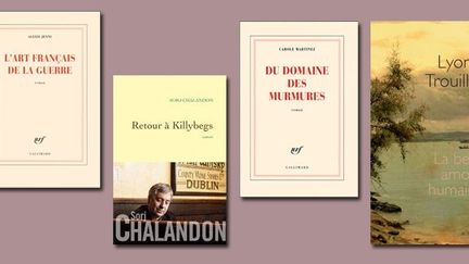 Les livres sélectionnés pour le Goncourt
 (DR)