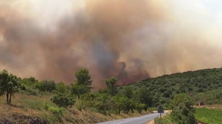 Hérault : la question de l'origine des incendies