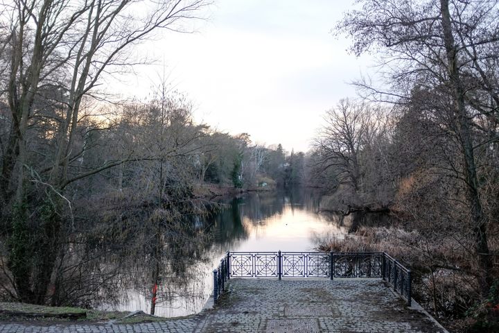 Berlin, la forêt de Grunewald. (MARKUS C. HUREK / DPA)