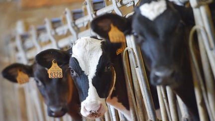 Le prix des briques de lait "La Marque du consommateur" est décidé par les clients. (LOIC VENANCE / AFP)