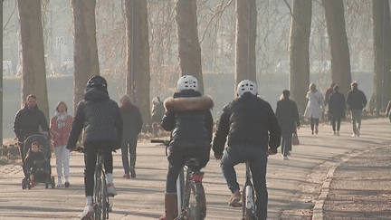 De nombreuses agglomérations subissent un air fortement pollué aux particules fines, mardi 14 février. La météo, sans vent ni pluie, complique la dispersion de ces particules nocives pour la santé. (franceinfo)