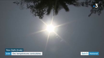 Inde : la canicule tue et la mousson tarde