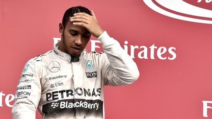 Lewis Hamilton (YURI CORTEZ / AFP)