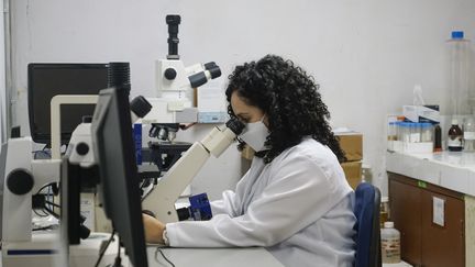 Rebecca Quintanilla, scientifique et biologiste, travaille dans un laboratoire universitaire des toxines marines et du phytoplancton&nbsp;à San Salvador. (Illustration) (ALEX PENA / ANADOLU AGENCY VIA AFP)