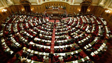 L'h&eacute;micycle du S&eacute;nat, en avril 2013. (AFP)