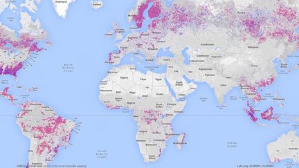 Caputre d'&eacute;cran de la carte interactive r&eacute;alis&eacute;e par le site Global Forest Watch.&nbsp; (GLOBALFORESTWATCH / FRANCETV INFO)