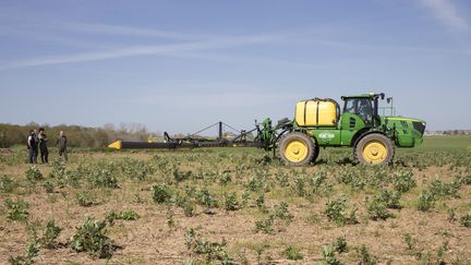 Un pulvérisateur envoie des pesticides dans un champ en avril 2018. (CHRISTIAN WATIER / MAXPPP)