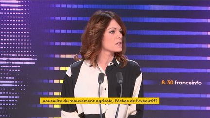 Maud Bregeon, la porte-parole des députés Renaissance, était l'invité du "8h30 franceinfo" dimanche 28 janvier ((RADIO FRANCE / FRANCEINFO))