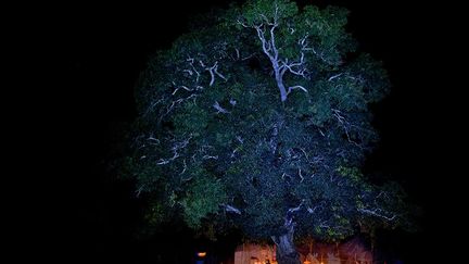 Ici vivent 300 personnes sans électricité. Cette photographie a été prise lors du marché nocturne qui se tient quotidiennement au pied de l’arbre à palabres, un immense manguier, éclairé par des lampes à pétrole artisanales. Au total, en comptant les neuf autres villages environnants, il y a près de 3000 personnes qui vivent sans électricité dans la région. (Pascal Maitre/Cosmos)