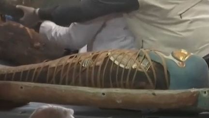 Plus de&nbsp;cent sarcophages découverts en parfait état à Saqqara (Capture d'écran France 2)