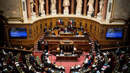 Le Sénat, lors d'une séance de questions au gouvernement, le 10 février 2021. (XOSE BOUZAS / HANS LUCAS)