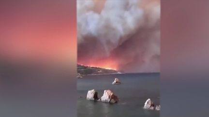 Algérie : 15 personnes ont déjà péri dans des incendies cet été (FRANCE 2)