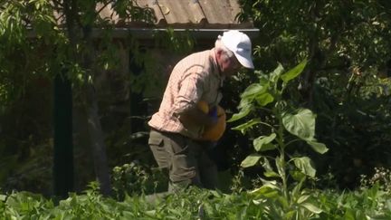 Somme : à la découverte d'un passionné de jardin (France 3)