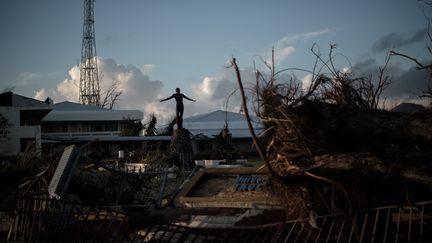 Une statue dans les d&eacute;bris de l'universit&eacute; de Tacloban, sur l'&icirc;le&nbsp;de Leyte&nbsp;(Philippines), le 14 novembre 2013. (PHILIPPE LOPEZ / AFP)