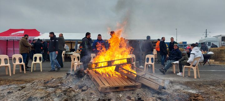 Des agriculteurs sur le blocage de l'A6, à hauteur de Villabé (Essonne), le 30 janvier 2024. (FABIEN MAGNENOU / FRANCEINFO)