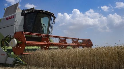 Une moissonneuse en action dans un champ de la réagion de Zaporijia (Ukraine), le 16 juillet 2022. (DMITRY MAKEEV / SPUTNIK)